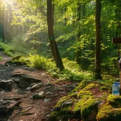 Szlaki turystyczne w Dusznikach Zdrój - Idealne na spacer