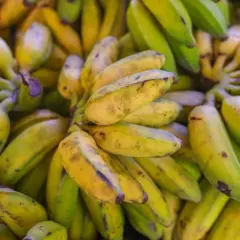 W jakim kraju rosną banany? Odkryj największych producentów