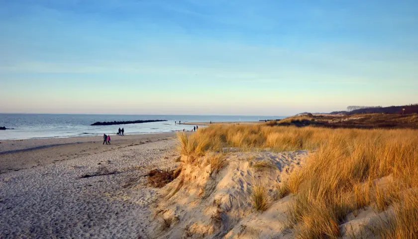 Jak wygląda Morze Bałtyckie? Kolor wody, plaże i zmiany krajobrazu