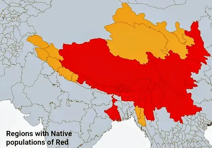 W jakim kraju żyją pandy? Odkryj ich naturalne siedliska w Chinach